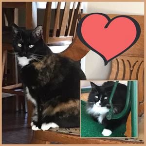 Meet your Posher, Nancy